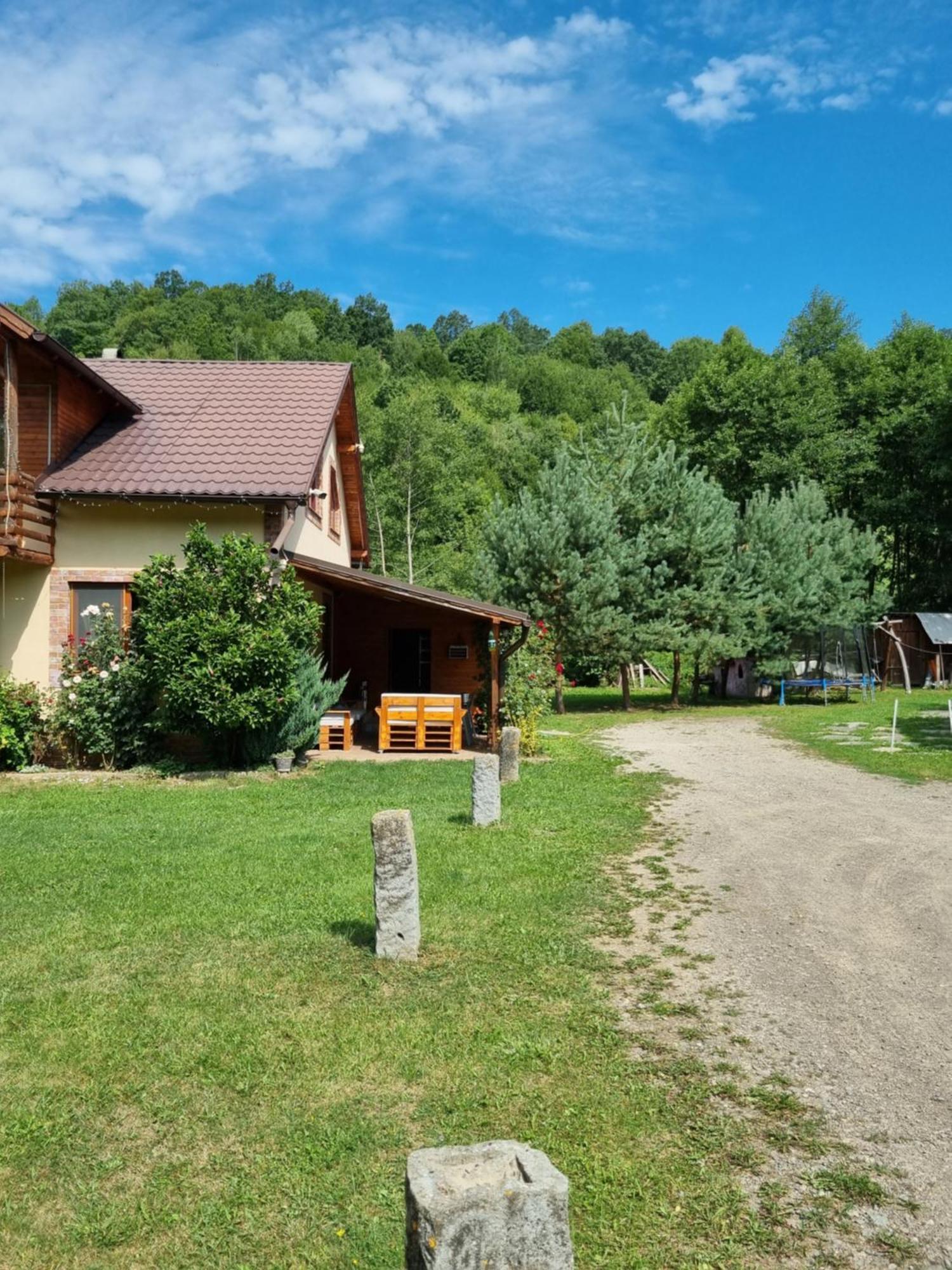 Katalin Kulcsoshaz Hotell Băile Chirui Eksteriør bilde
