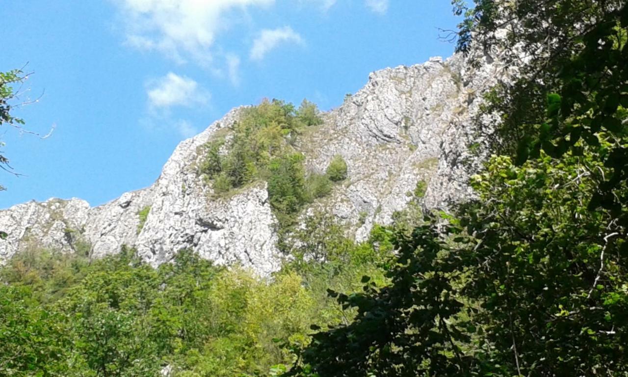 Katalin Kulcsoshaz Hotell Băile Chirui Eksteriør bilde